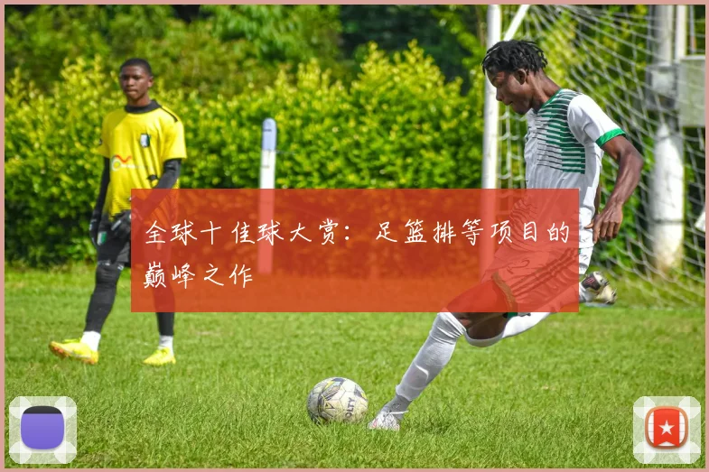 全球十佳球大赏：足篮排等项目的巅峰之作
